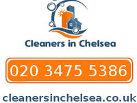 Cleanersinchelsea-spotlisting